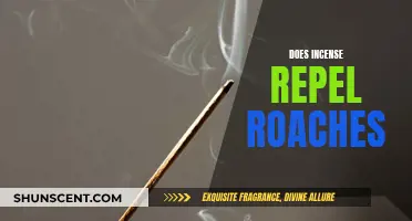 Incense as a Natural Roach Repellent: Does it Work?
