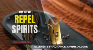 Incense and Spirit Repelling: Does Scent Affect the Spirit Realm?