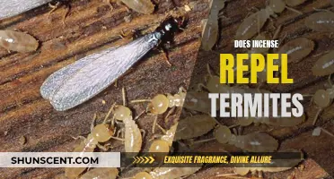 Incense as a Natural Termite Repellent: Does it Work?