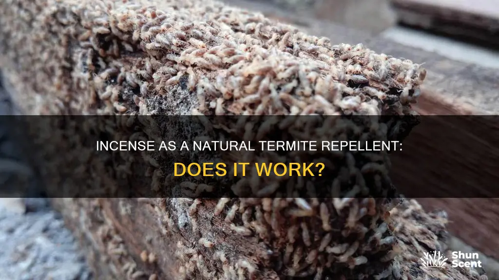 does incense repel termites