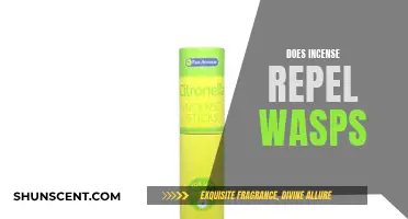 Incense as a Wasp Repellent: Does it Work?