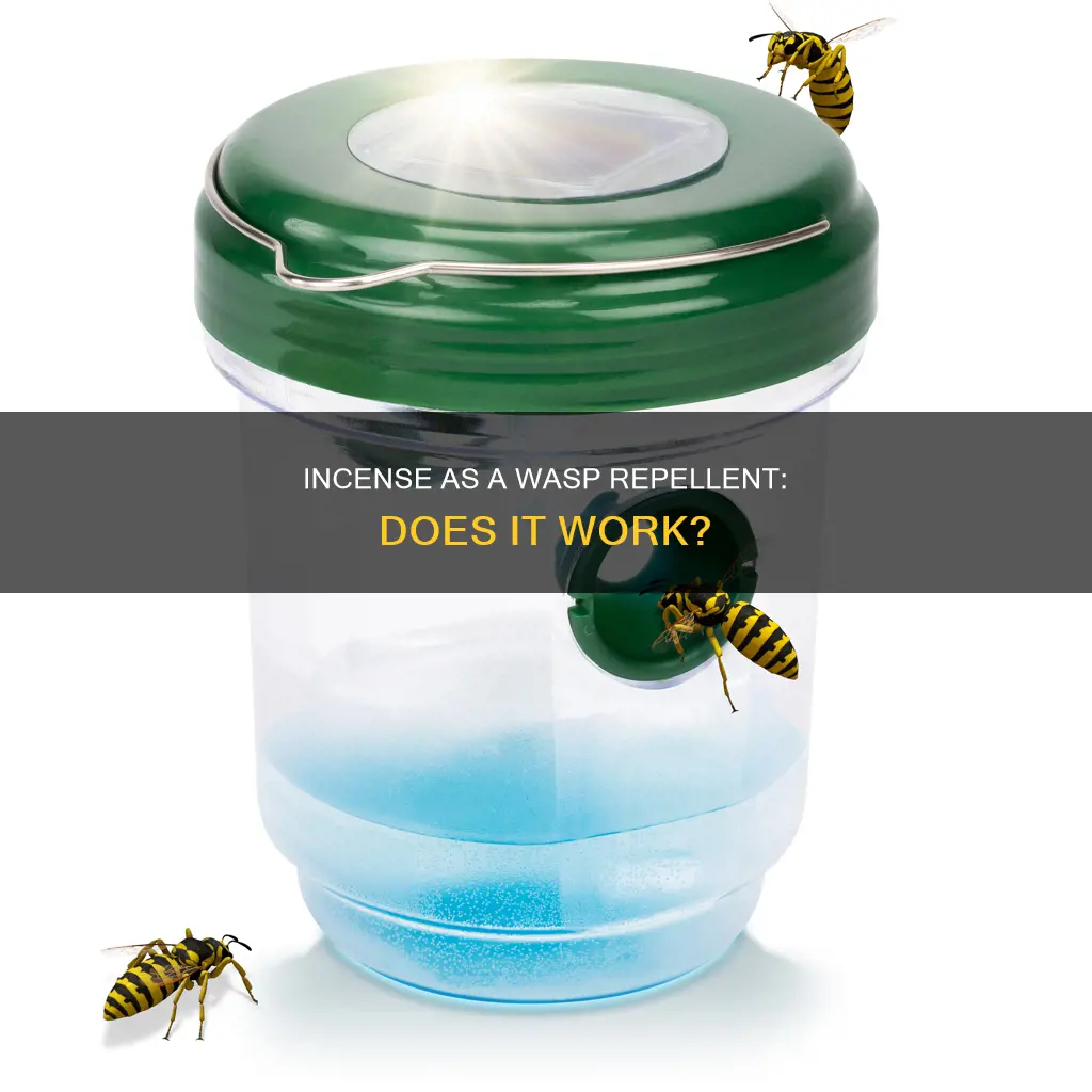 does incense repel wasps