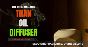 Incense vs Oil Diffuser: Which Smells Stronger?