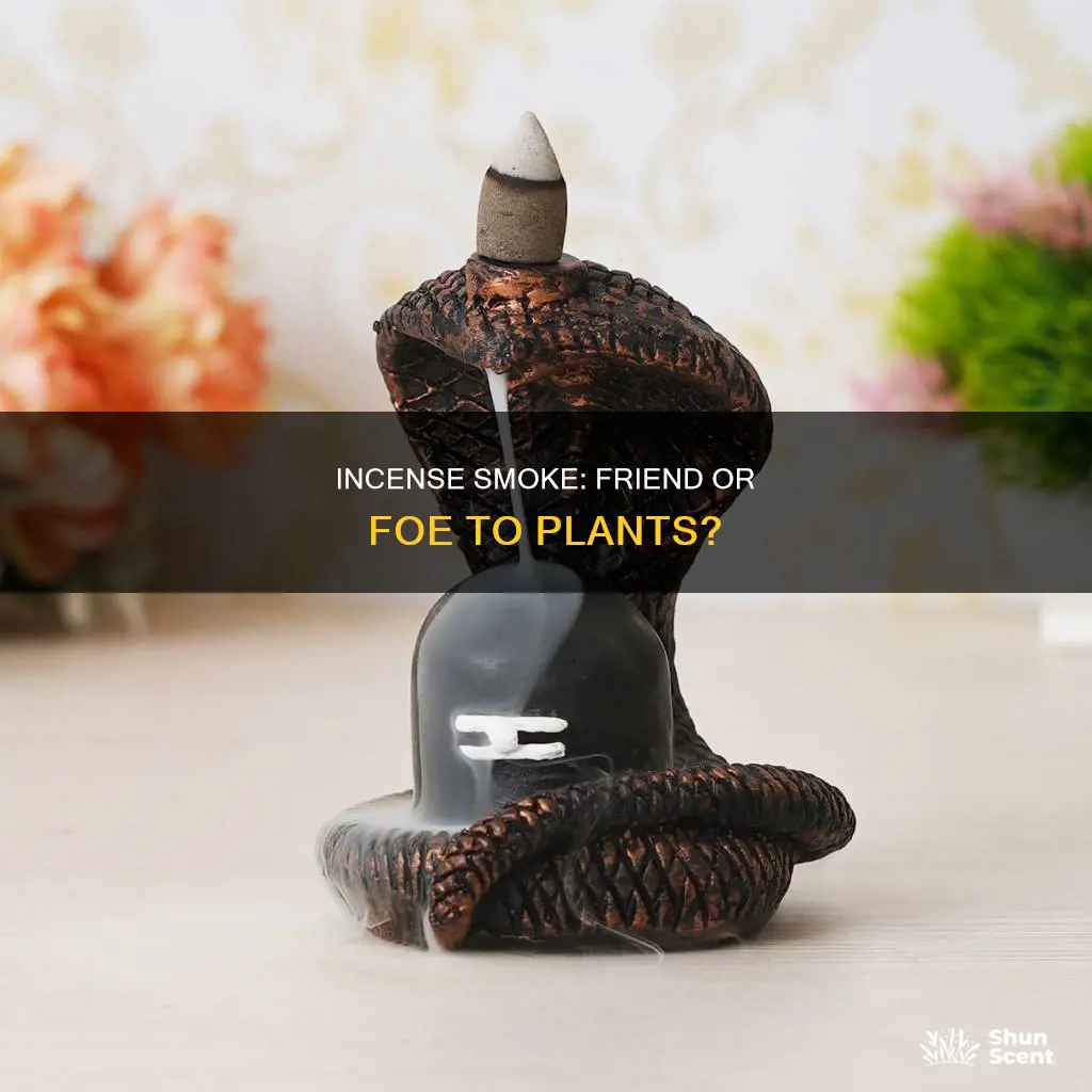 does incense smoke hurt plants