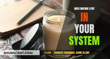 Incense Use: Does It Leave a Trace in Your Body?