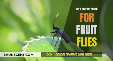 Fruit Fly Repellent: Incense as a Natural Solution