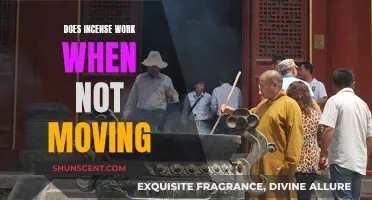 Incense Efficacy: Does Movement Matter?
