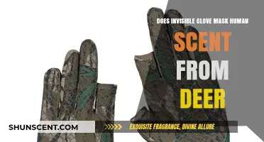 Invisible Glove: Can It Mask Human Scent and Fool Deer?