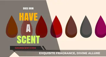 Unveiling the Truth: Does Iron Really Have a Distinct Scent?