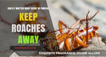 Pine-Sol Scents: Which Aroma Keeps Roaches at Bay Effectively?