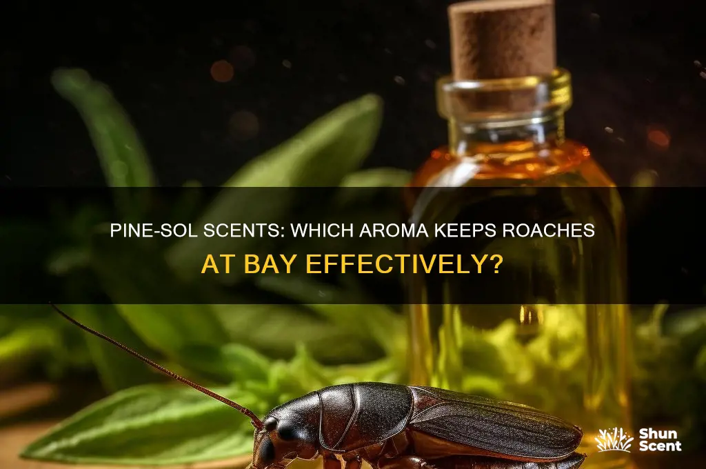 does it matter what scent of pinesol keep roaches away