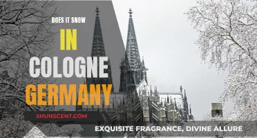 Winter Wonder in Cologne, Germany: Snow and Sights