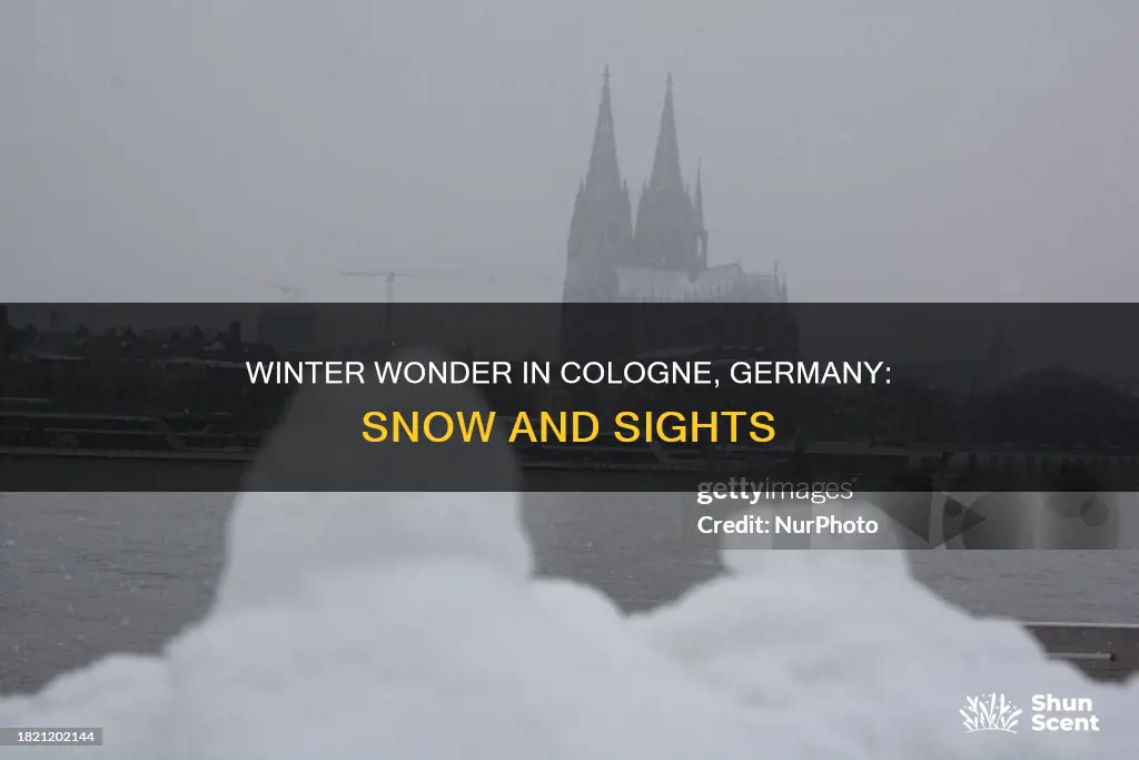 does it snow in cologne germany