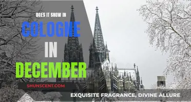 Winter Wonder in Cologne: Snow in December?