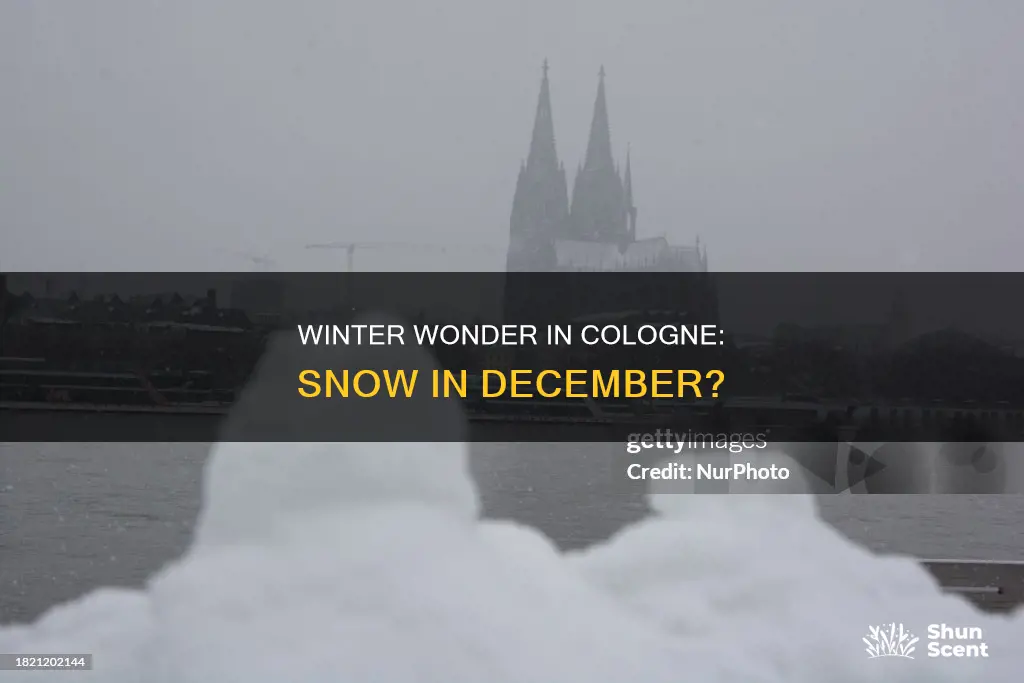 does it snow in cologne in december