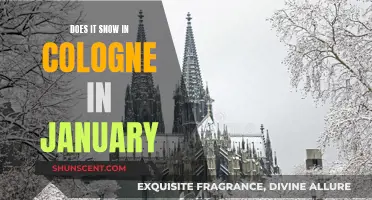 Winter Wonder in Cologne: Snow in January?