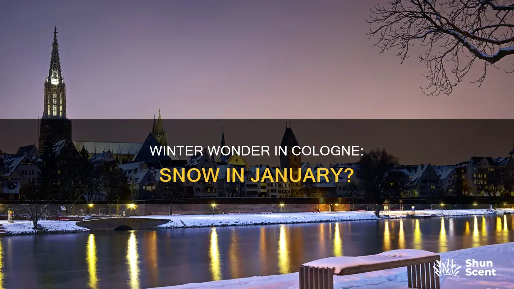 does it snow in cologne in january