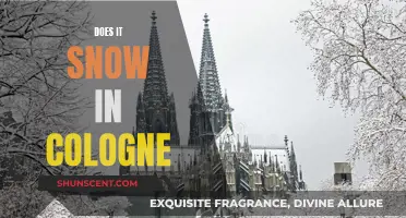 Winter Wonder in Cologne: Snow and the City