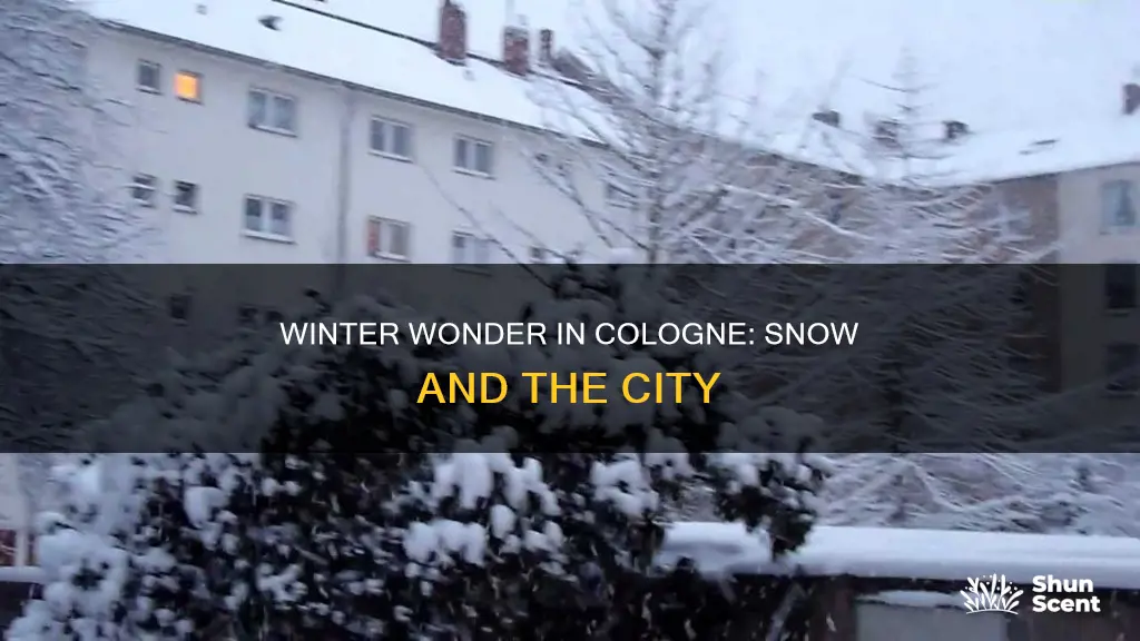 does it snow in cologne