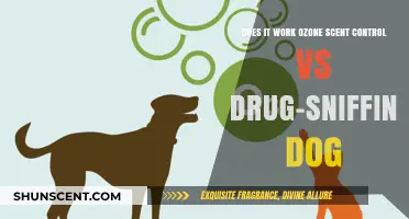 Ozone Scent Control vs. Drug-Sniffing Dogs: Which Method Works Best?