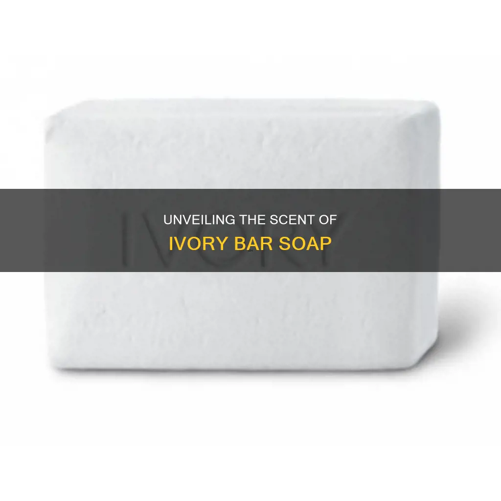 does ivory bar soap have fragrance