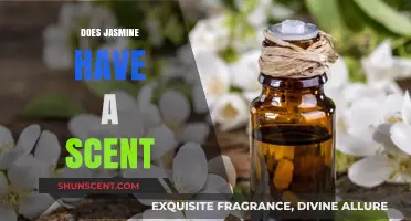 Does Jasmine Have a Scent? Unveiling the Fragrant Truth