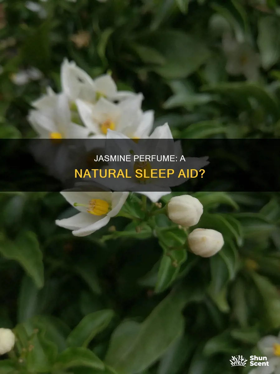 does jasmine perfume make you sleepy
