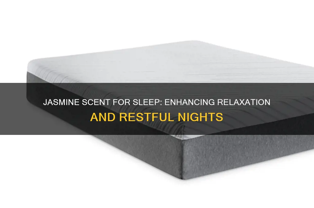 does jasmine scent help you sleep