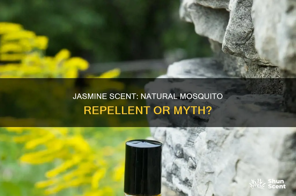 does jasmine scent repel mosquitoes