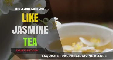 Jasmine Scent vs. Jasmine Tea: Unraveling the Aromatic Differences