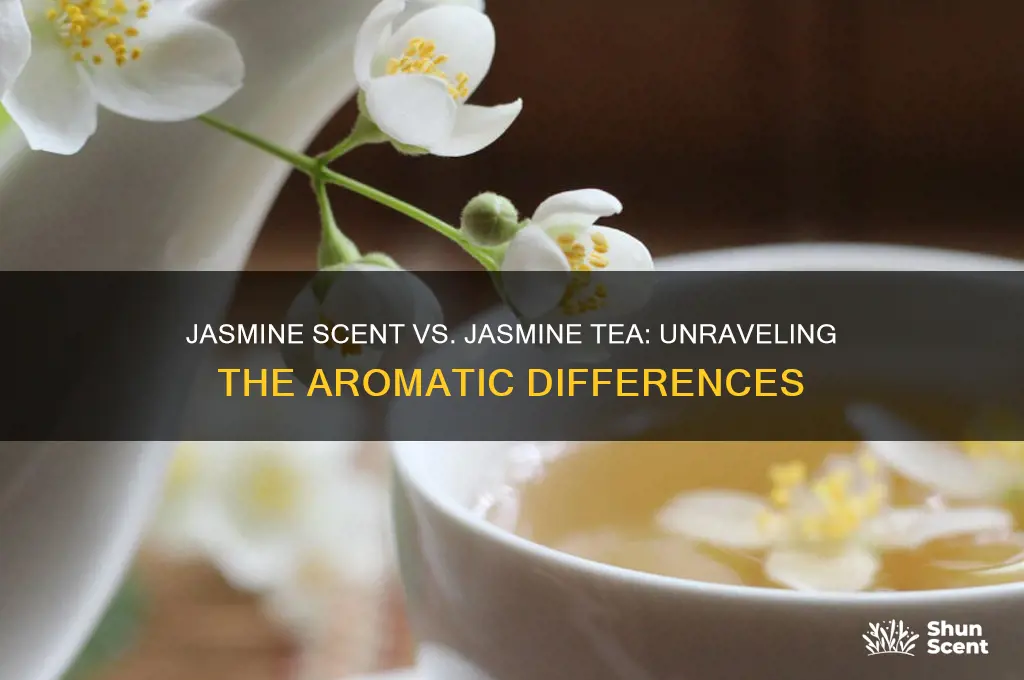 does jasmine scent smell like jasmine tea