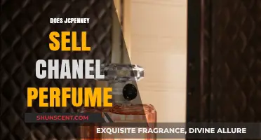 Where to Buy Chanel Perfume: JC Penney's Offerings
