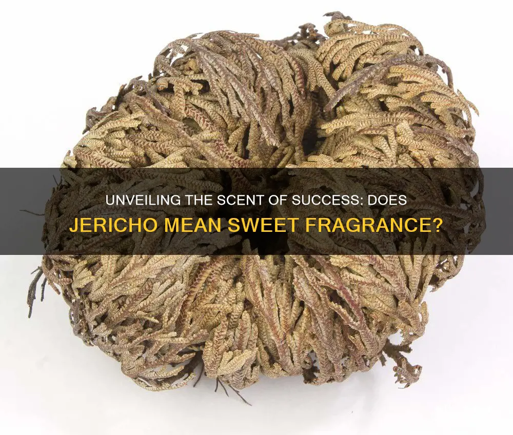 does jericho mean sweet fragrance