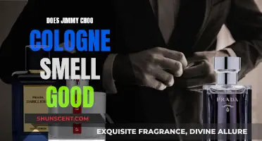 The Alluring Scent of Jimmy Choo's Cologne: A Review