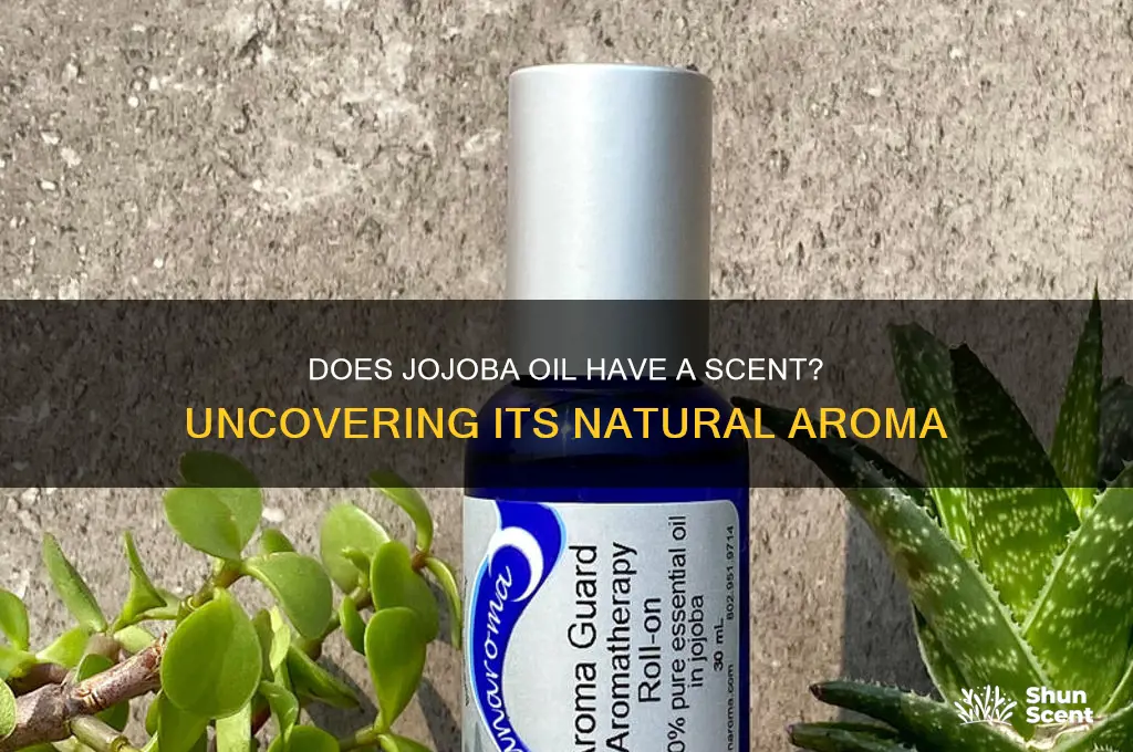 does jojoba oil have a scent