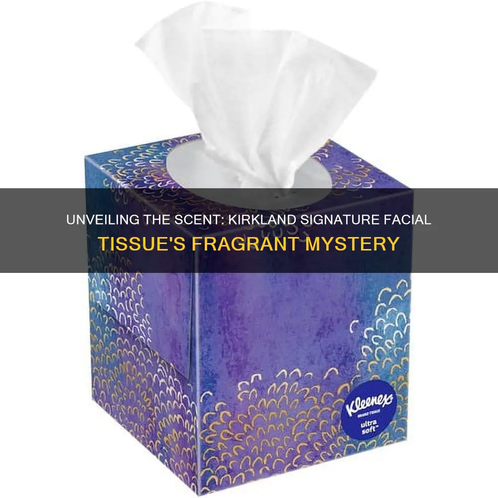 does kirkland signature facial tissue have a fragrance