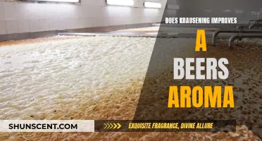 Krausening Techniques: Enhancing Beer's Aroma and Flavor Profile