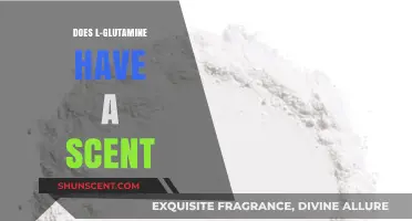 Does L-Glutamine Have a Scent? Uncovering the Truth About Its Odor