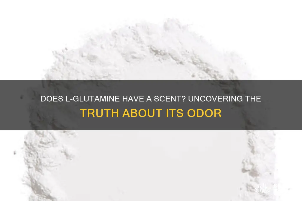 does l-glutamine have a scent