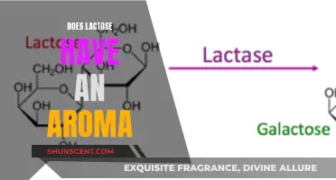 Lactose's Aroma: Fact or Fiction?