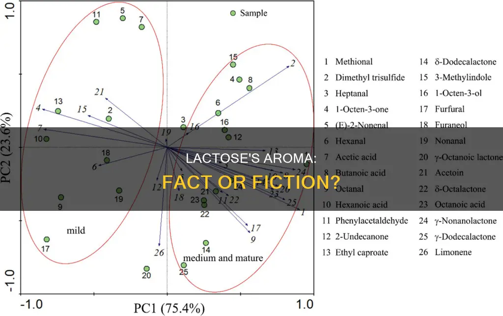 does lactose have an aroma