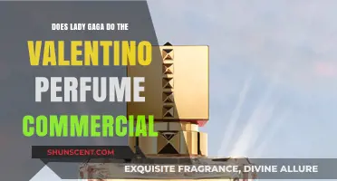 Lady Gaga's Valentino Perfume Commercial: The Inside Scoop