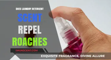 Can Laundry Detergent Scents Keep Cockroaches Away? Exploring the Myth