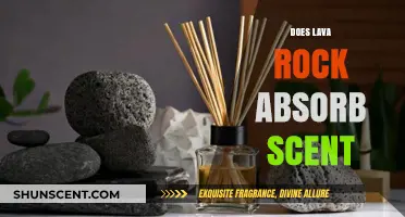 Can Lava Rock Absorb Scents? Exploring Its Aromatic Properties
