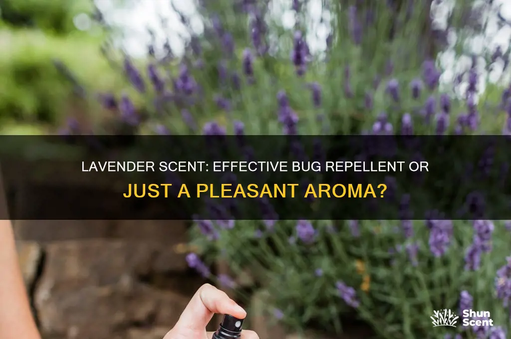does lavendar scent deter bugs