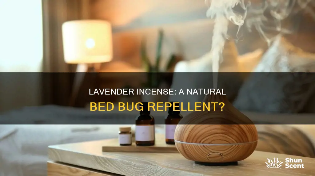 does lavender incense repel bed bugs