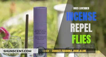 Lavender Incense: Effective Fly Repellent or Myth?