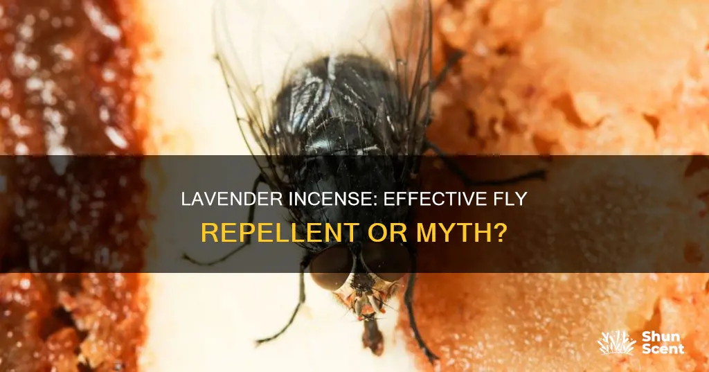 does lavender incense repel flies