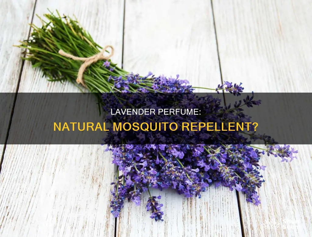 does lavender perfume repel mosquitoes
