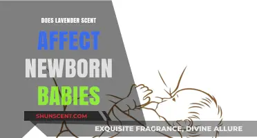 Lavender Scent and Newborns: Exploring Its Effects on Babies
